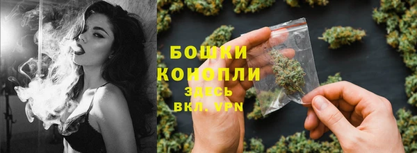 ПСИЛОЦИБИНОВЫЕ ГРИБЫ Верхнеуральск