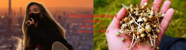 ПСИЛОЦИБИНОВЫЕ ГРИБЫ Верхнеуральск