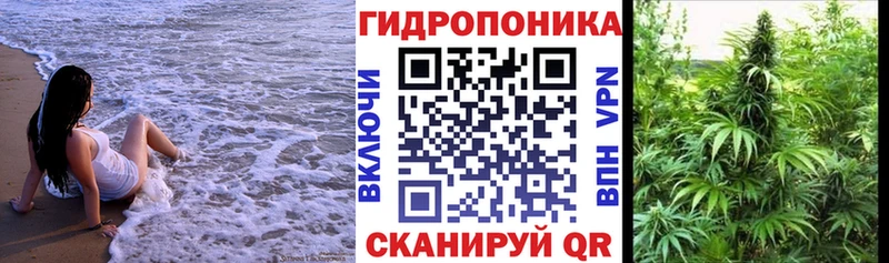 Каннабис гибрид Менделеевск